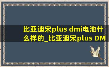 比亚迪宋plus dmi电池什么样的_比亚迪宋plus DMI电池是什么电池